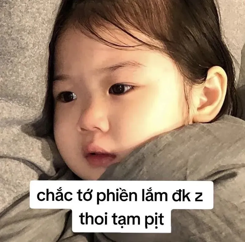 Meme mèo bye khiến bạn không thể nhịn cười