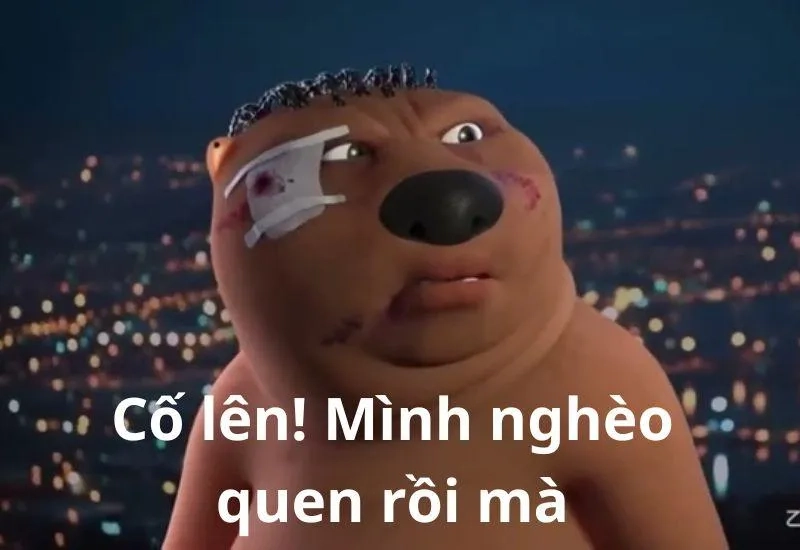 Meme chúng tôi đã cố gắng hết sức thể hiện sự quyết tâm