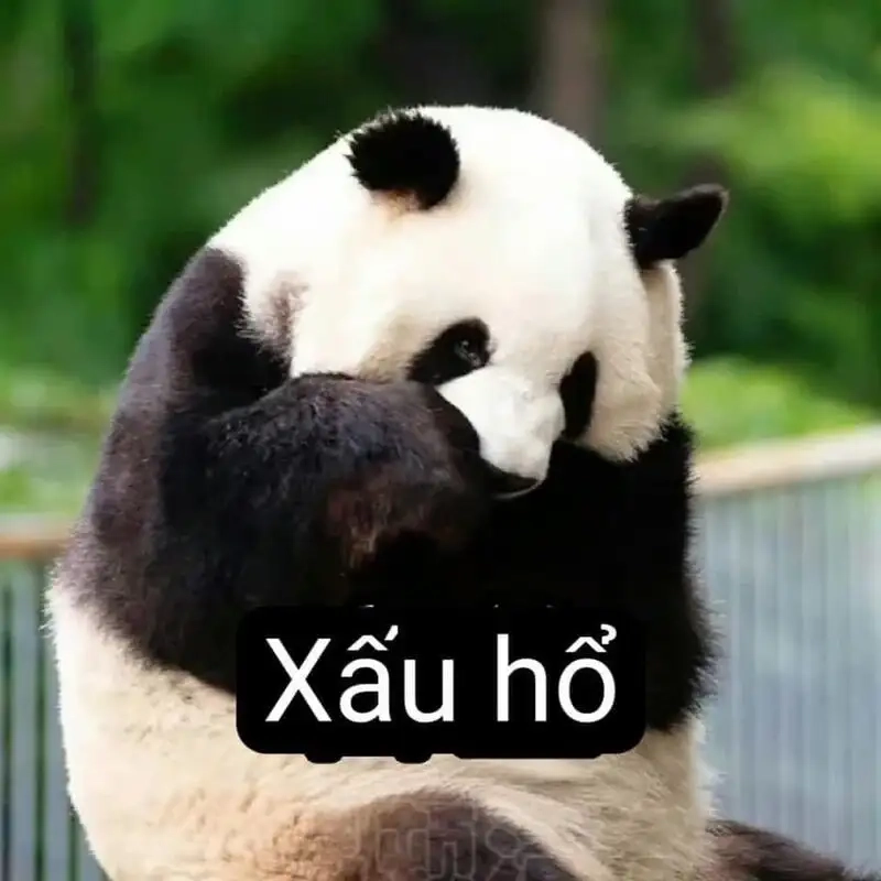 Meme ok cute dễ thương khiến bạn cảm thấy vui vẻ