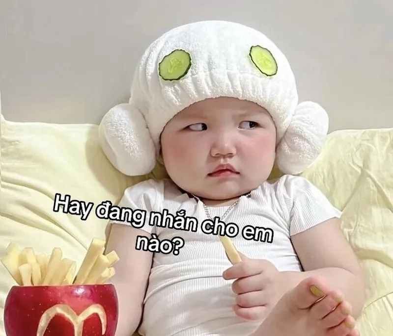 Mèo cute đáng yêu meme dễ thương cho những ai yêu thích động vật