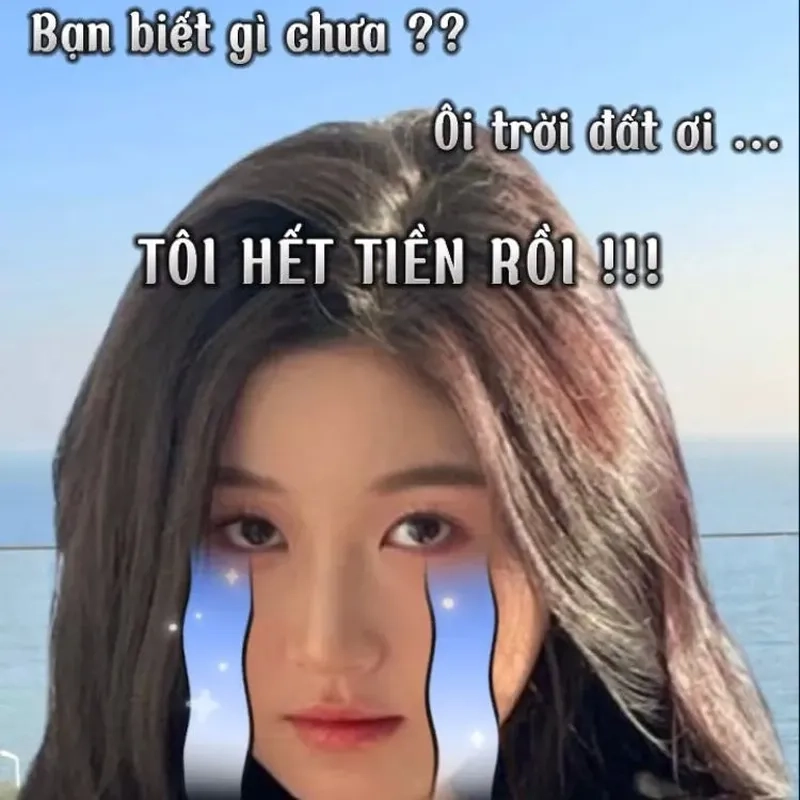 Meme mèo tiền làm tan chảy trái tim bạn