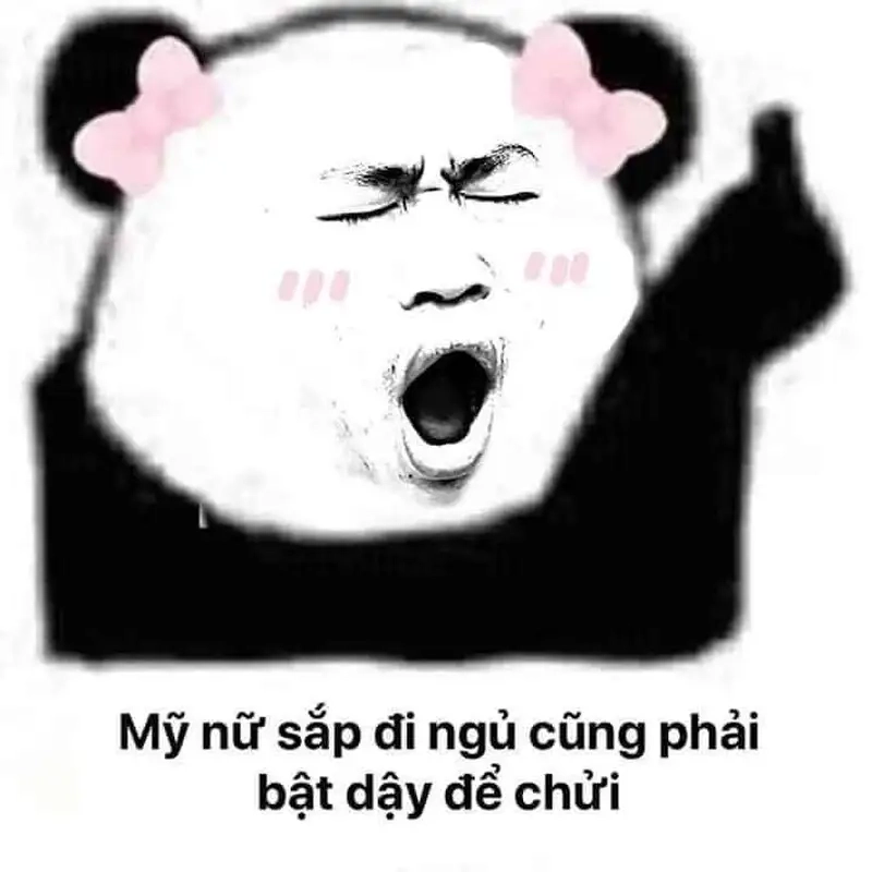 Good night meme mèo chúc ngủ ngon mang lại niềm vui