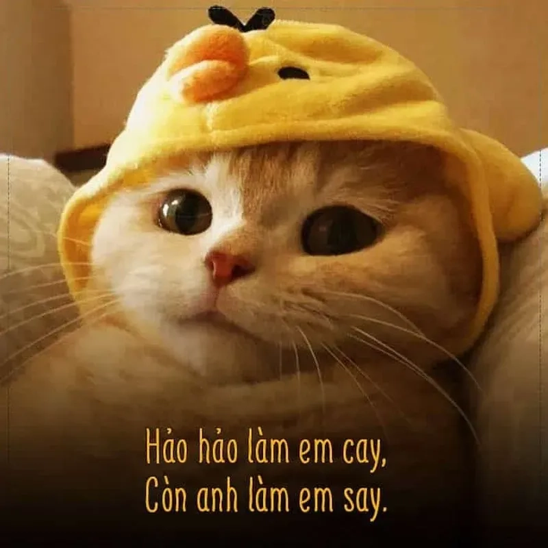 Ngồi im tình yêu sẽ đến meme mang đến thông điệp tích cực và hy vọng