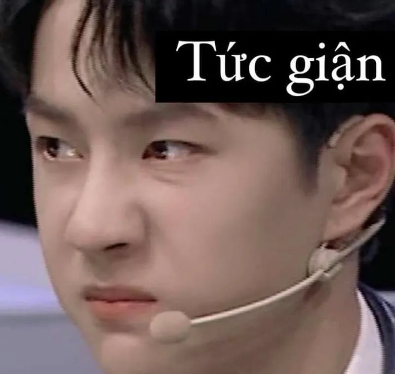 Tức giận tức giận meme mèo cute mang lại niềm vui cho người xem