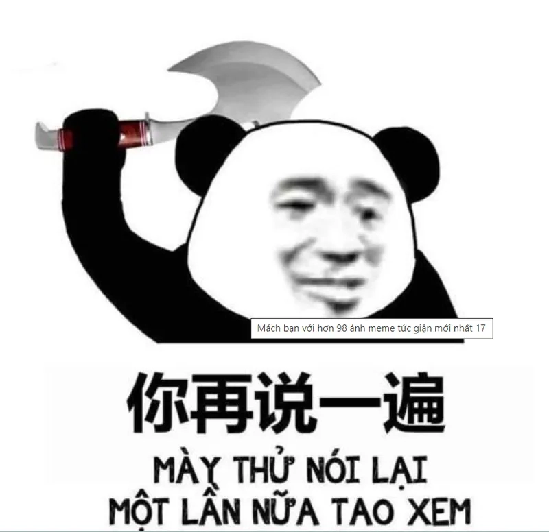 Tức giận meme mèo tức giận dễ thương khiến bạn cảm thấy vui vẻ