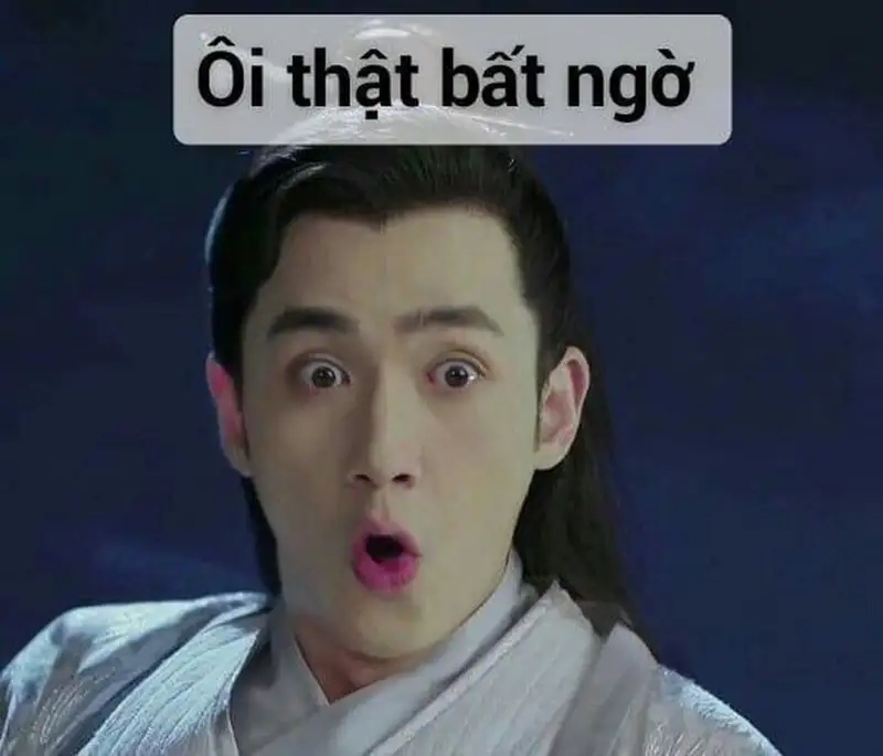 Ảnh bất ngờ meme mang lại tiếng cười sảng khoái