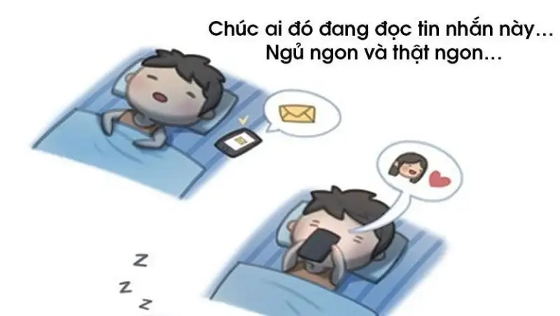 Meme mèo mất ngủ thật hài hước cho những ai thức khuya