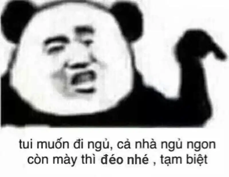 Meme chúc ngủ ngon mèo khiến bạn cảm thấy dễ chịu