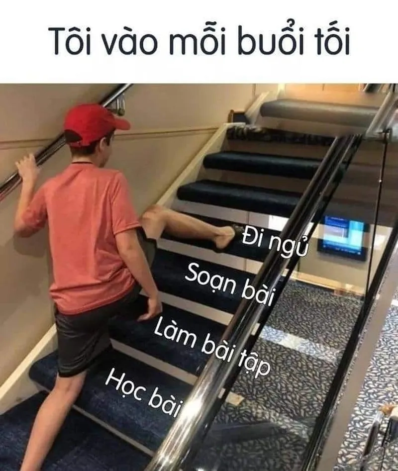 Meme chúc ngủ ngon dễ thương mang lại niềm vui cho bạn