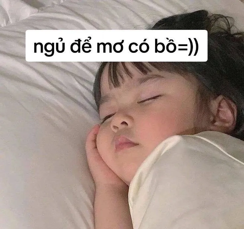 Meme ngủ cute mang lại tiếng cười cho mọi người