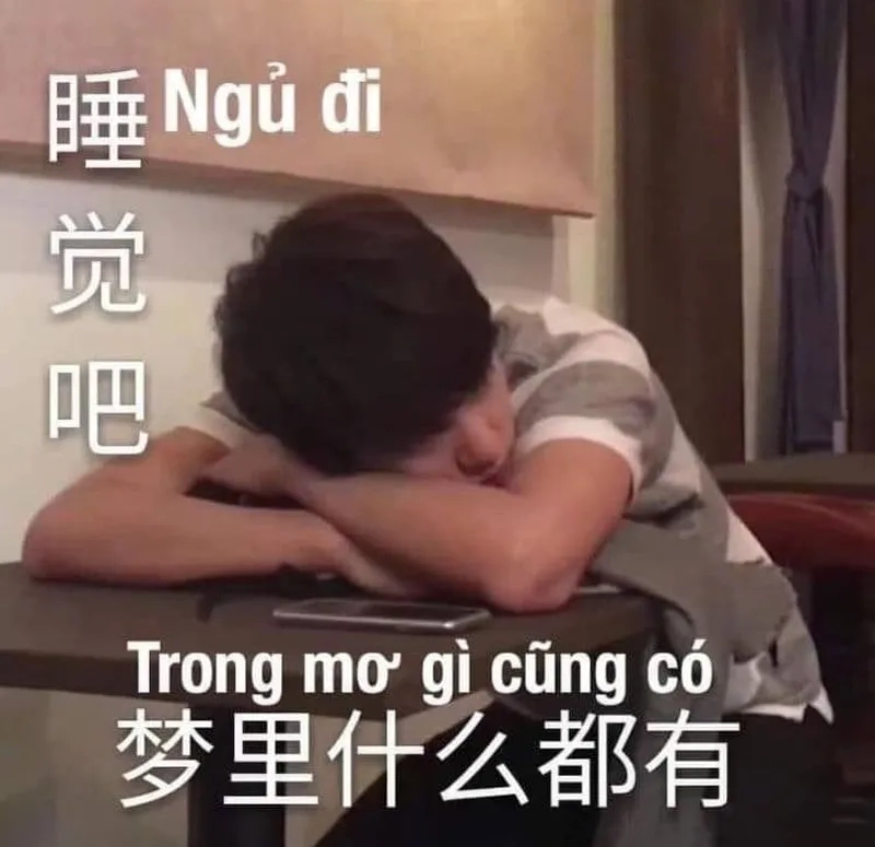 Meme công chúa ngủ trong rừng mang lại niềm vui cho người xem