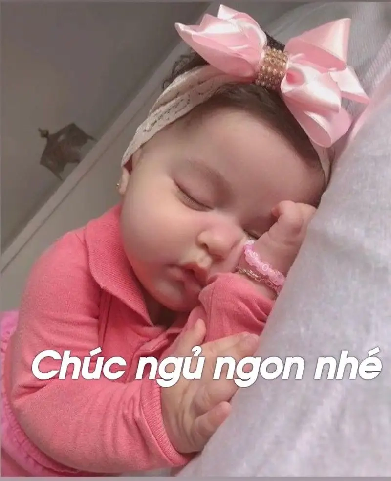 Ảnh meme chúc ngủ ngon dễ thương khiến bạn không thể nhịn cười