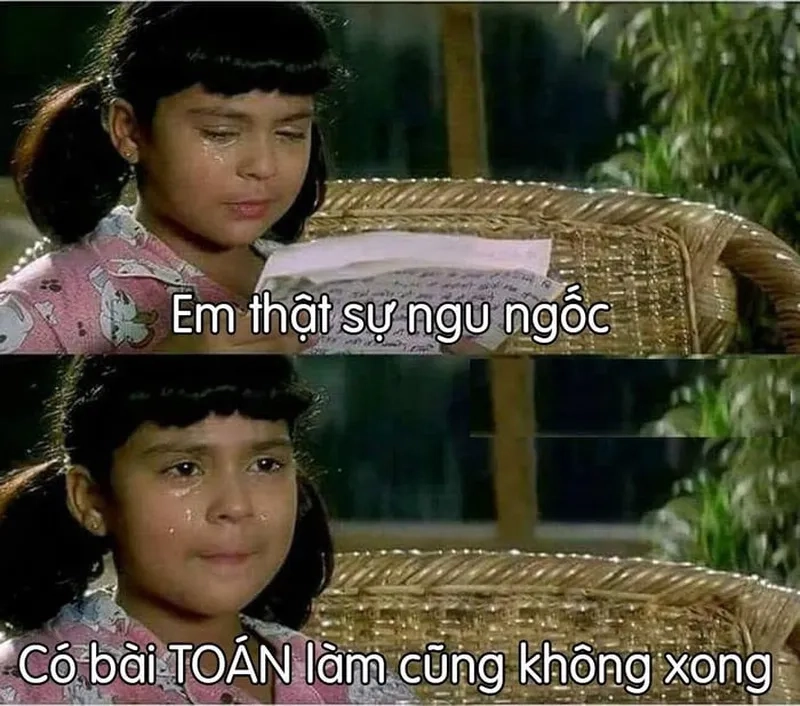 Ngu vượt thời đại meme thể hiện sự hài hước trong cuộc sống