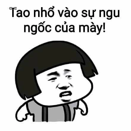 Đồ ngu meme khiến bạn không thể quên