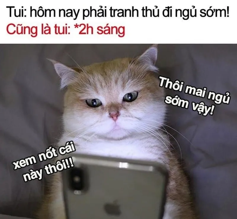 Meme ngủ ngon hài thể hiện sự hài hước độc đáo