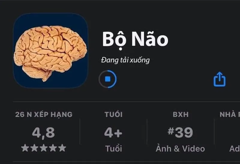 Ngu ngốc meme thể hiện sự hài hước trong cuộc sống