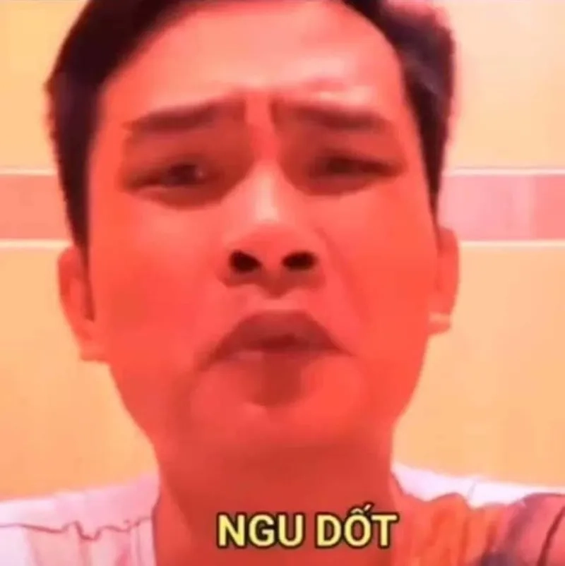 Ngu thì nín meme mang lại tiếng cười cho người xem