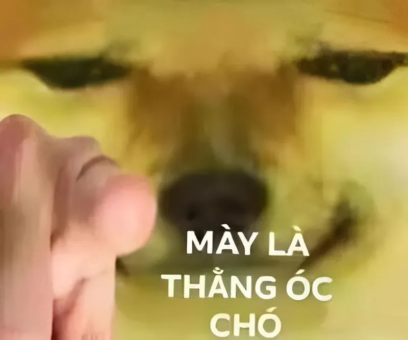 Chuc ngu ngon meme đáng yêu cho những ai yêu thích sự vui nhộn