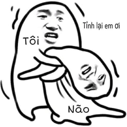 Meme hài hước ngu mang lại tiếng cười cho người xem