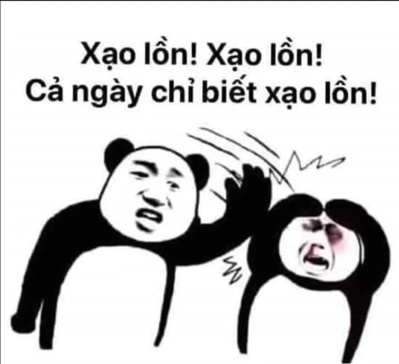 Meme mèo béo trung quốc thật dễ thương và hài hước