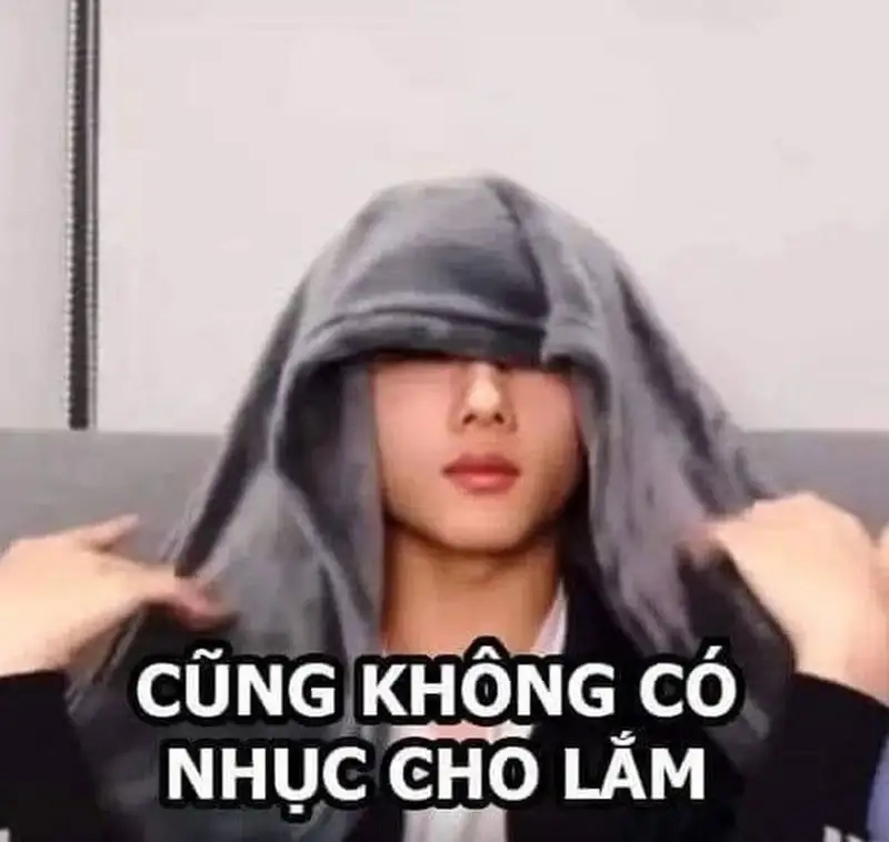 Chim trong quần meme thật dễ thương và hài hước