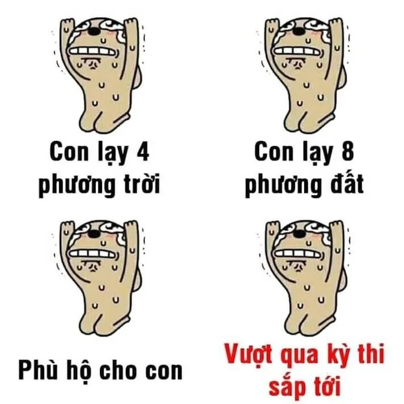 Ảnh quỳ lạy meme dễ thương cho ngày thêm vui