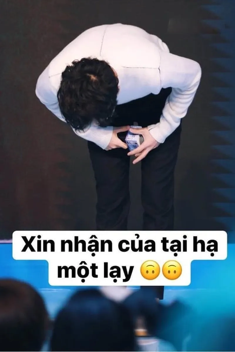 Meme mèo quỳ lạy đáng yêu cho những khoảnh khắc vui vẻ