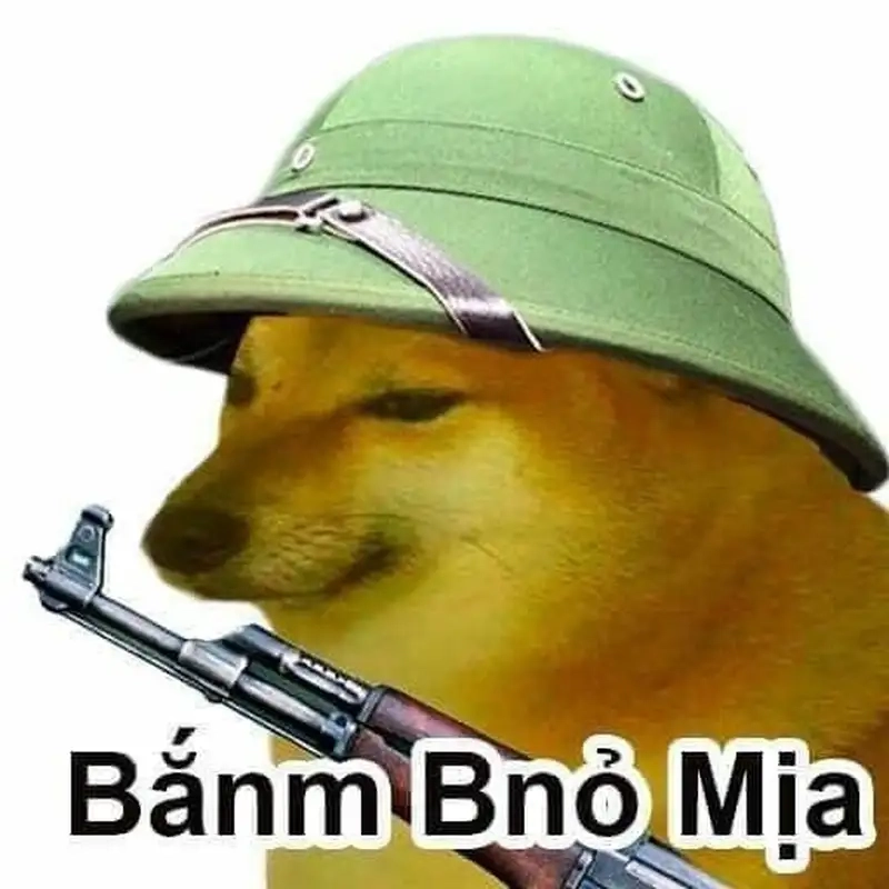 Dog meme shiba mang lại niềm vui cho người xem