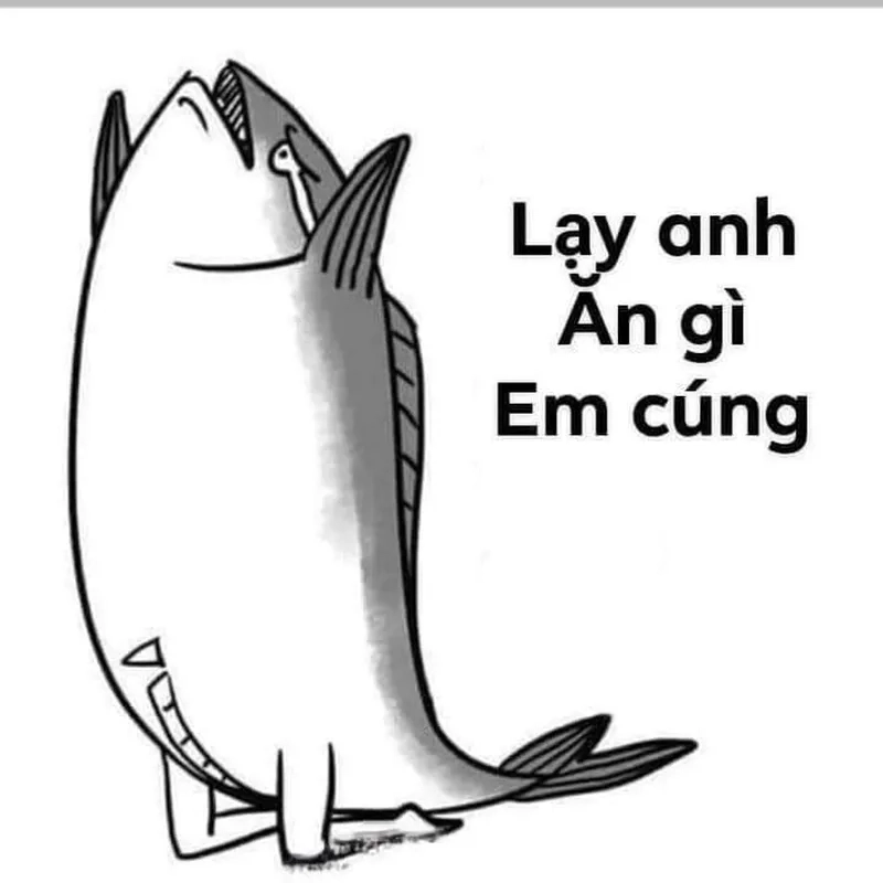 T lạy mày meme khiến bạn không thể quên