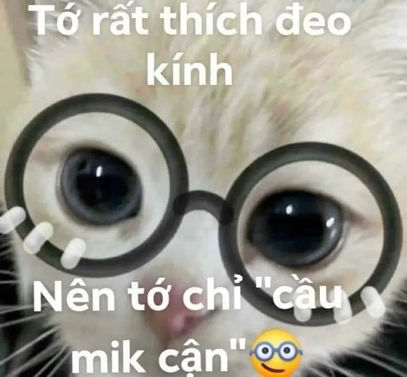 Meme thả thính hài mang lại niềm vui cho người xem