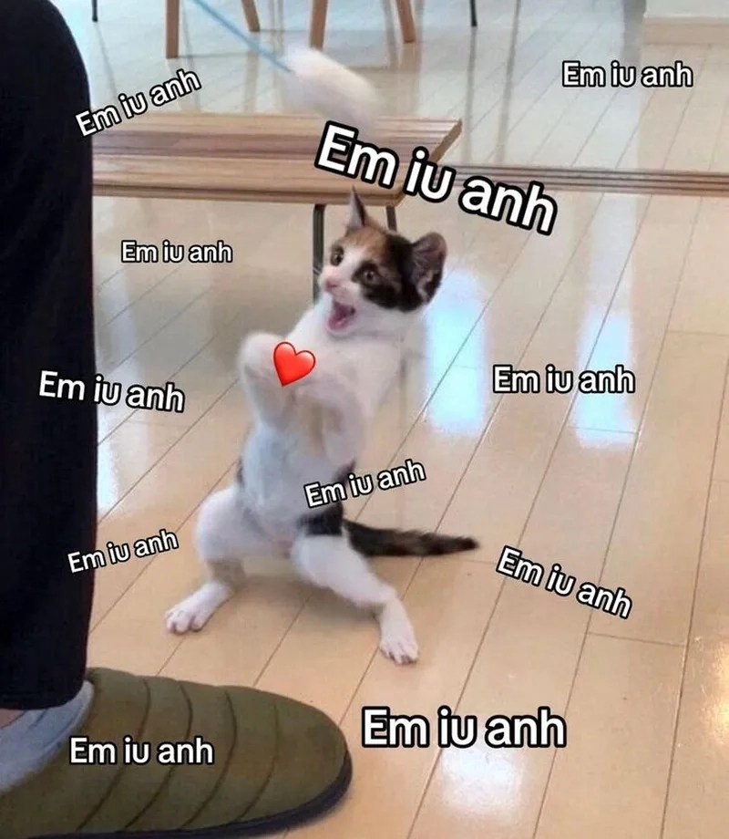 Cute ảnh meme tình yêu khiến bạn không thể quên