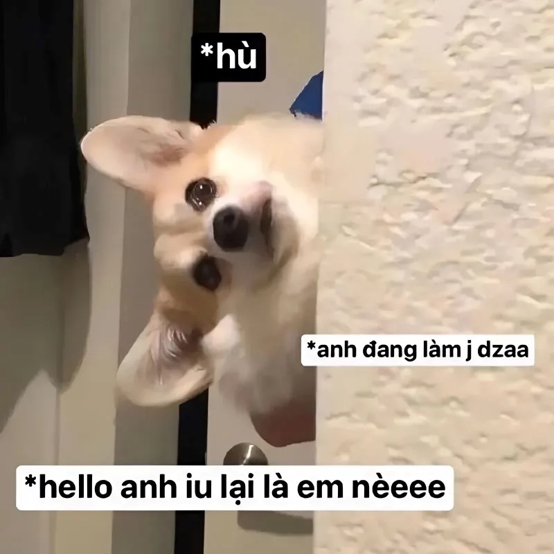 Cute meme tình yêu thể hiện sự ngọt ngào và hài hước