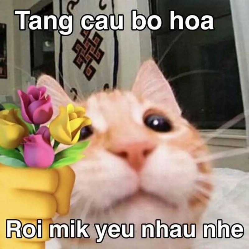 Cute meme tình yêu mang đến những khoảnh khắc ngọt ngào