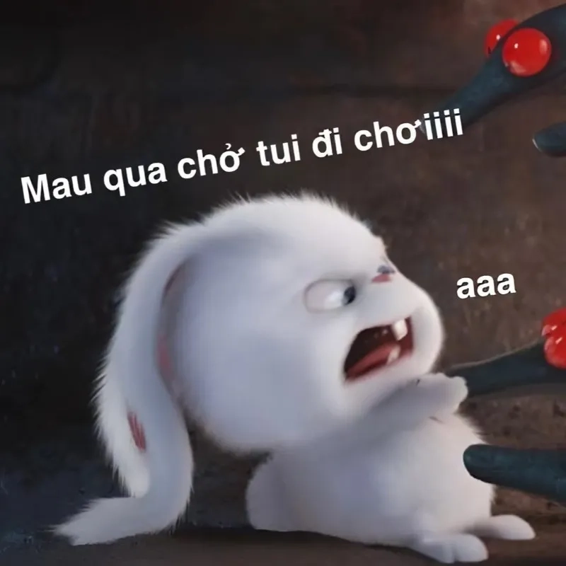 Meme tình yêu vũ trụ thể hiện sự hài hước độc đáo