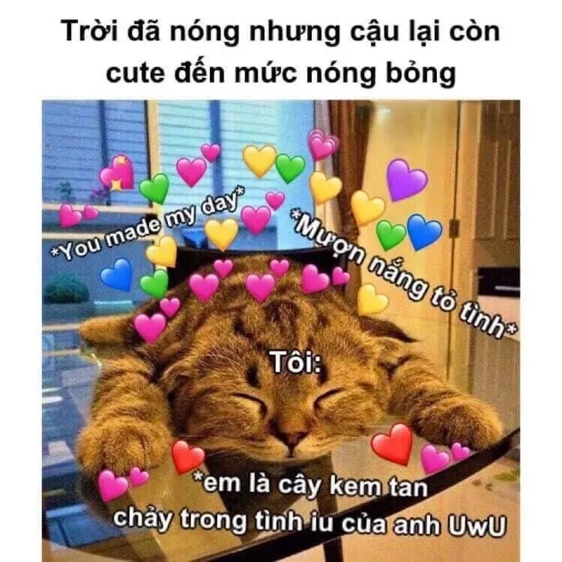 Meme tình cảm thể hiện những khoảnh khắc ngọt ngào và đáng nhớ