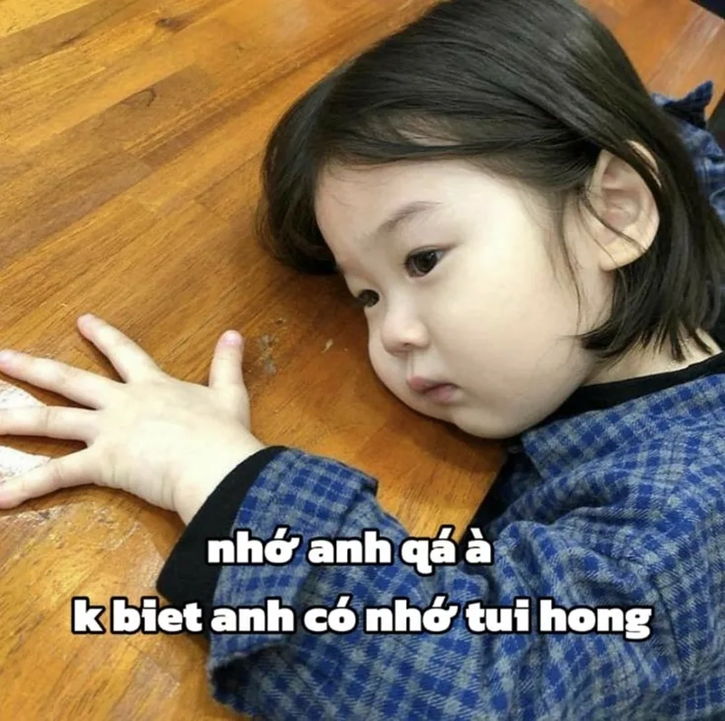 Meme mèo hun đáng yêu khiến bạn không thể quên