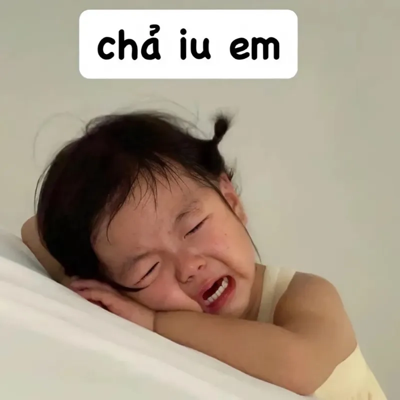 Meme mèo bắn tim mang lại tiếng cười sảng khoái