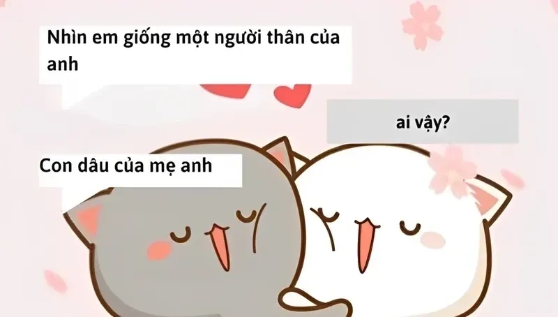 Mèo thả tim meme mang đến sự ngọt ngào và đáng yêu