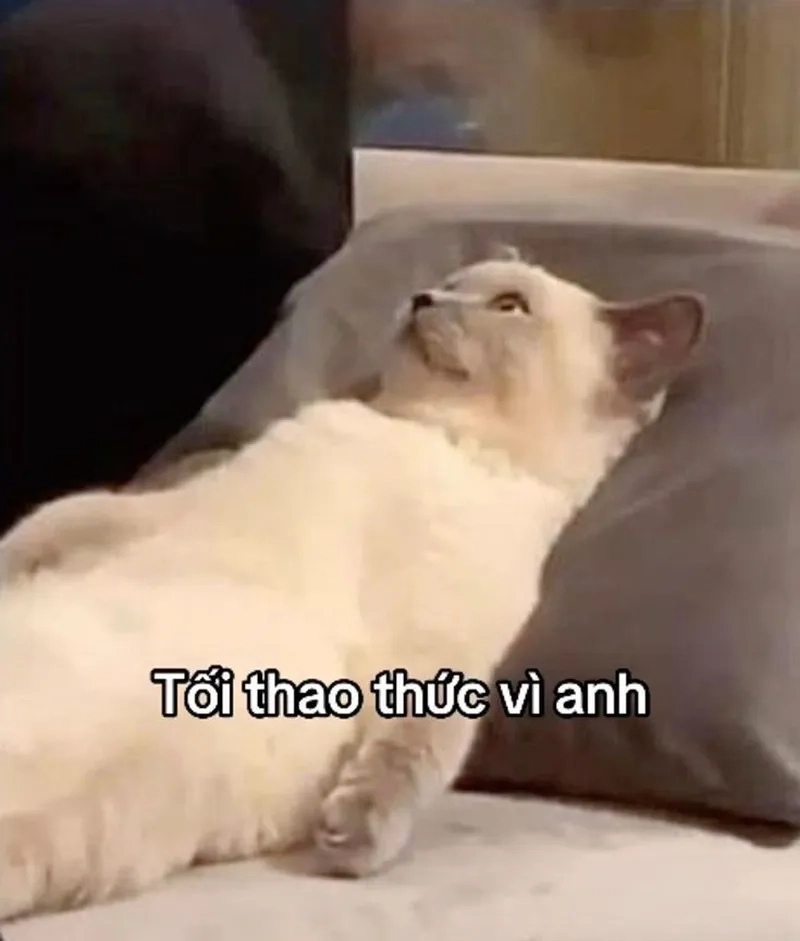 Tỏ tình crush cute meme tặng hoa khiến bạn cảm thấy ấm áp