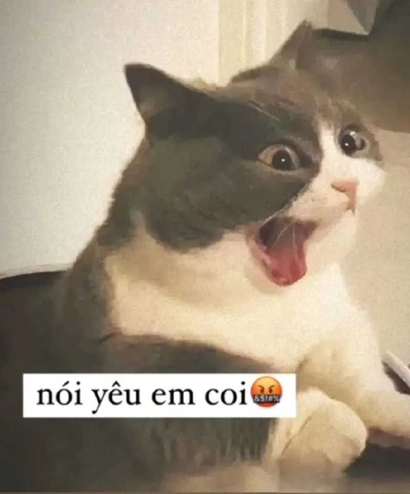 Ảnh meme tỏ tình crush mang đến sự dễ thương và hài hước