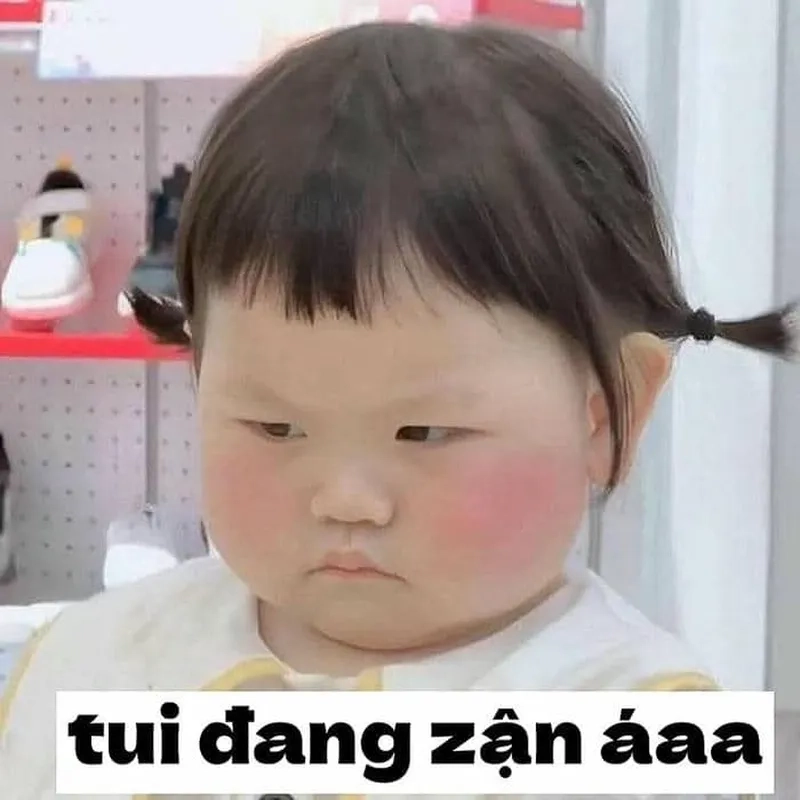 Ảnh meme mèo tức giận dễ thương khiến bạn cảm thấy đồng cảm