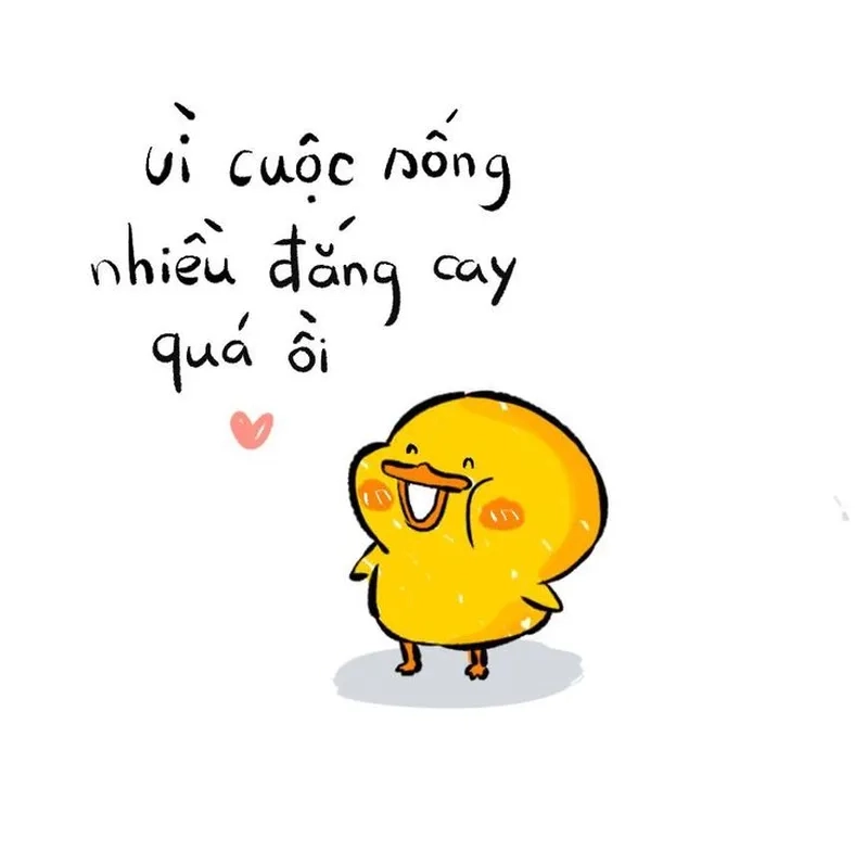 Ảnh meme vịt dễ thương khiến bạn muốn chia sẻ ngay