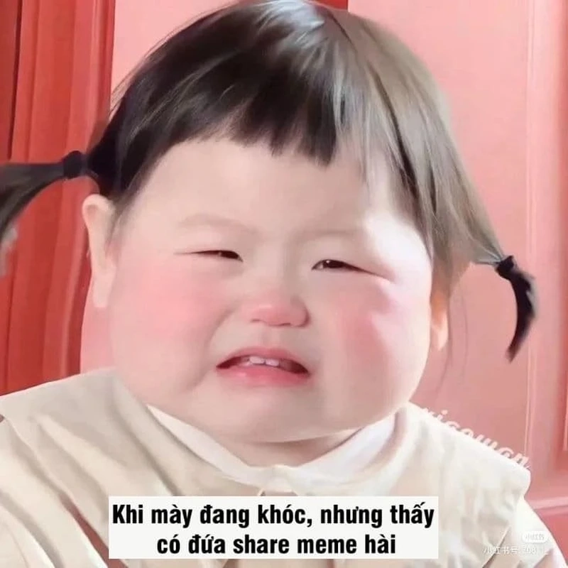 Meme vui buồn thể hiện những cảm xúc đa dạng