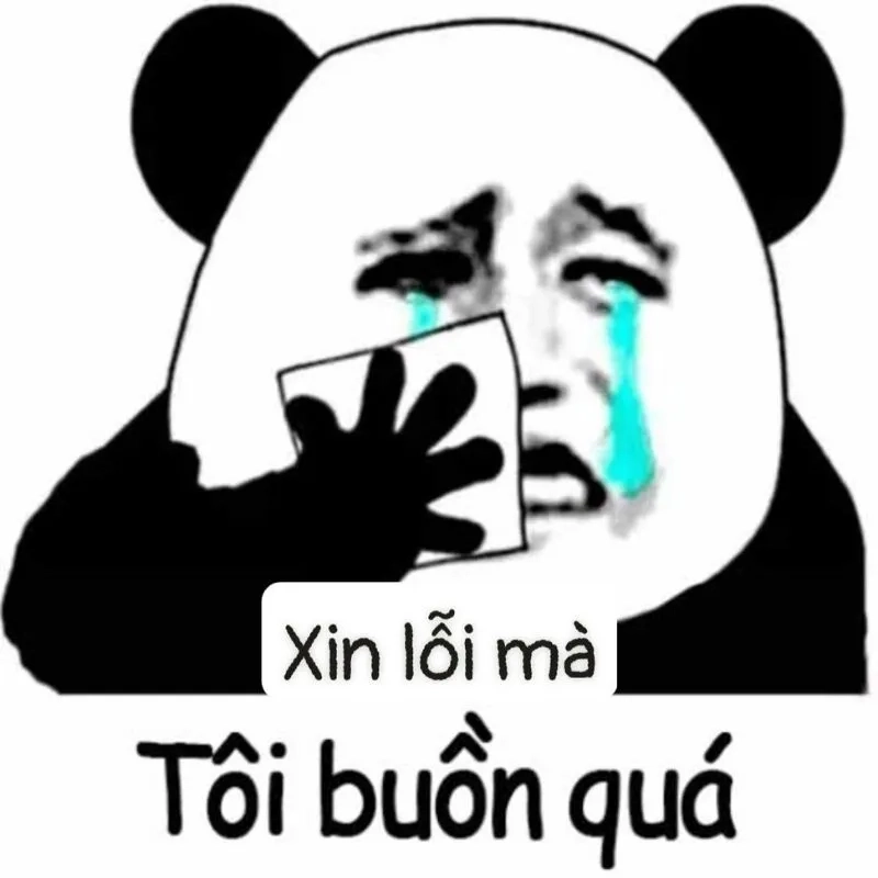 Meme xin lỗi đáng yêu mang lại tiếng cười cho mọi người