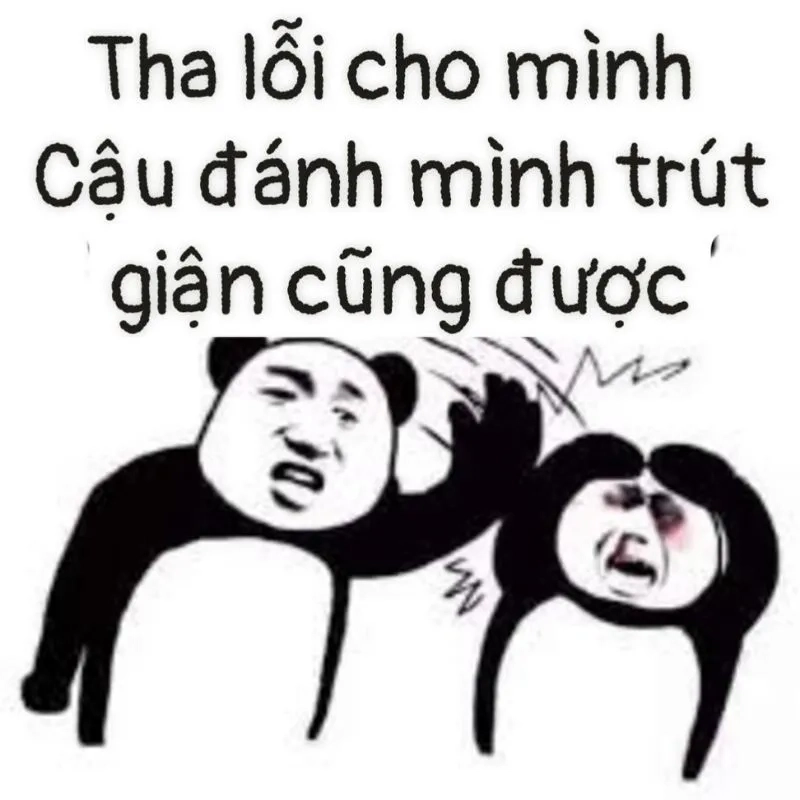 Meme xin lỗi hài hước dễ thương khiến bạn không thể cưỡng lại