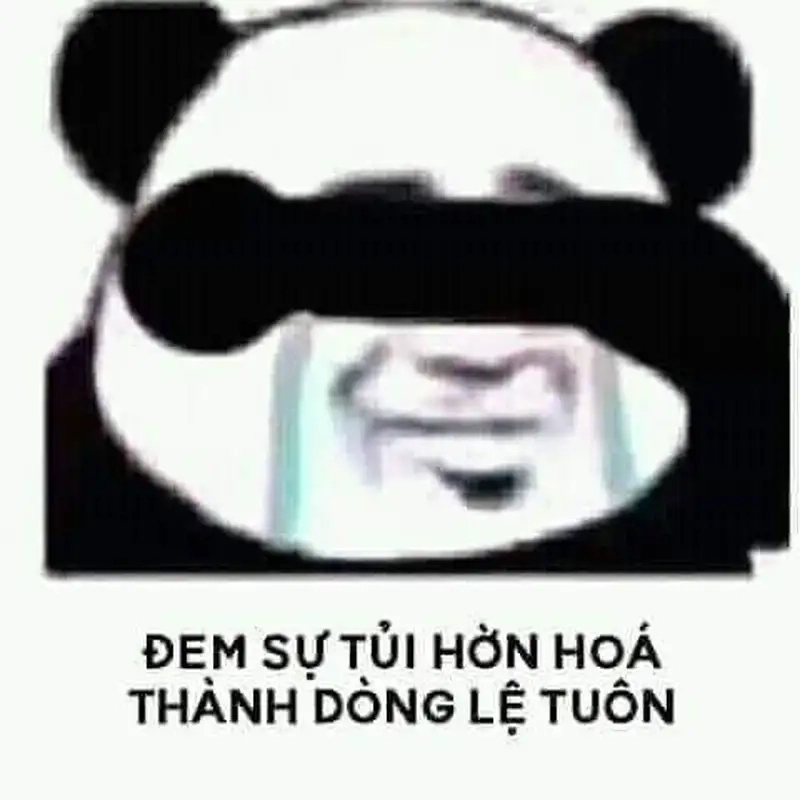 Meme mèo chuối khóc khiến bạn không thể nhịn cười