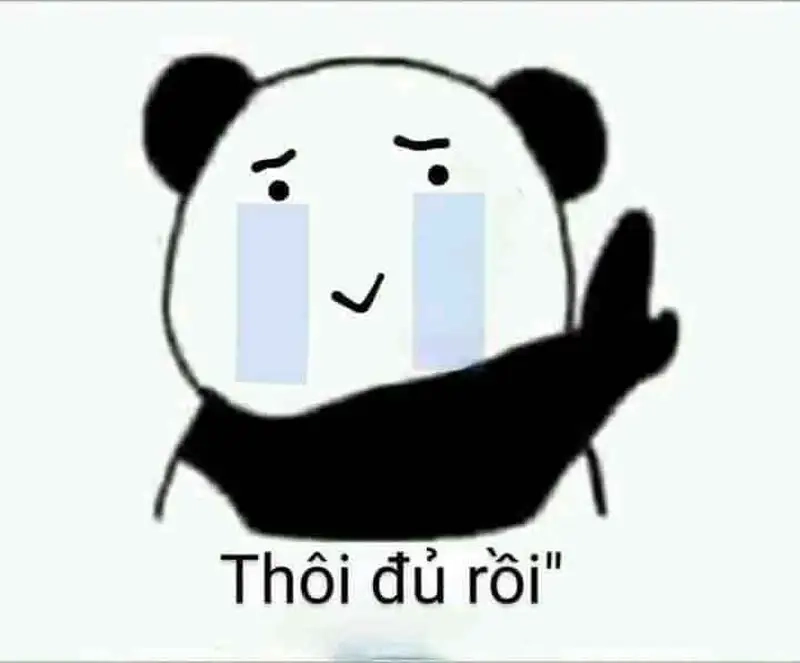 Meme con mèo khóc thật đáng yêu và hài hước