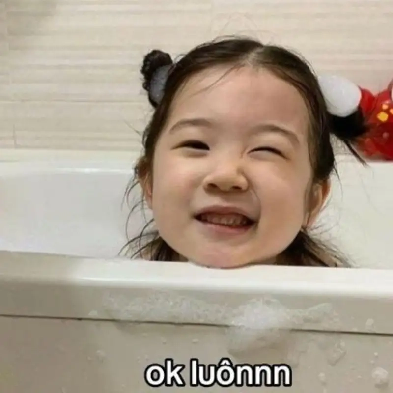 Cute meme mèo xin lỗi khiến bạn cảm thấy dễ thương và hài hước