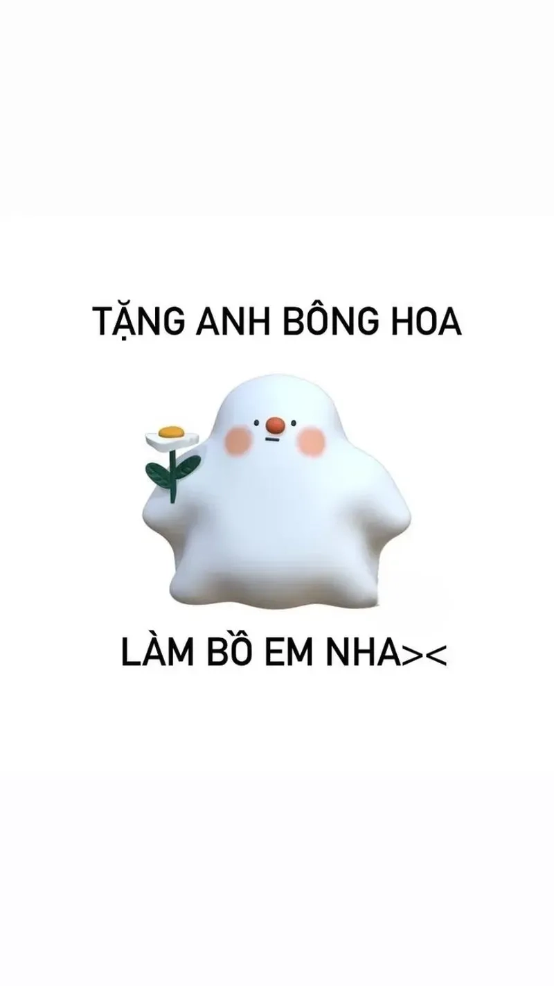 Mèo meme tặng hoa mang lại tiếng cười cho mọi người