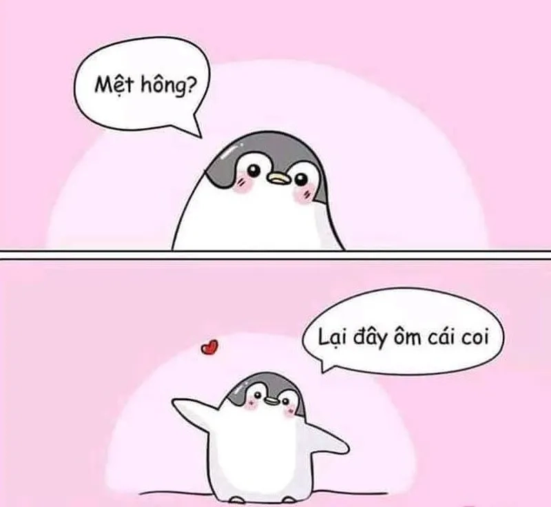 Con mèo ôm đầu meme dễ thương khiến bạn không thể nhịn cười